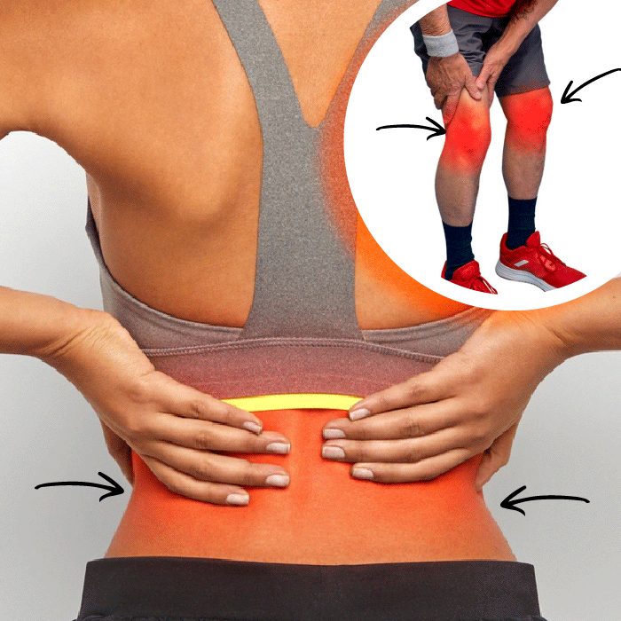 BodyFlex™ – 🏠 Entrena desde Casa y Logra un Físico de Impacto - IMPERIUM