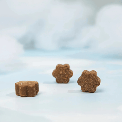 Dog Human Multivitamínico 5 - en - 1 Para perros que necesitan más años de vida saludable | Mejoras visibles en 1 - 2 semanas - IMPERIUM
