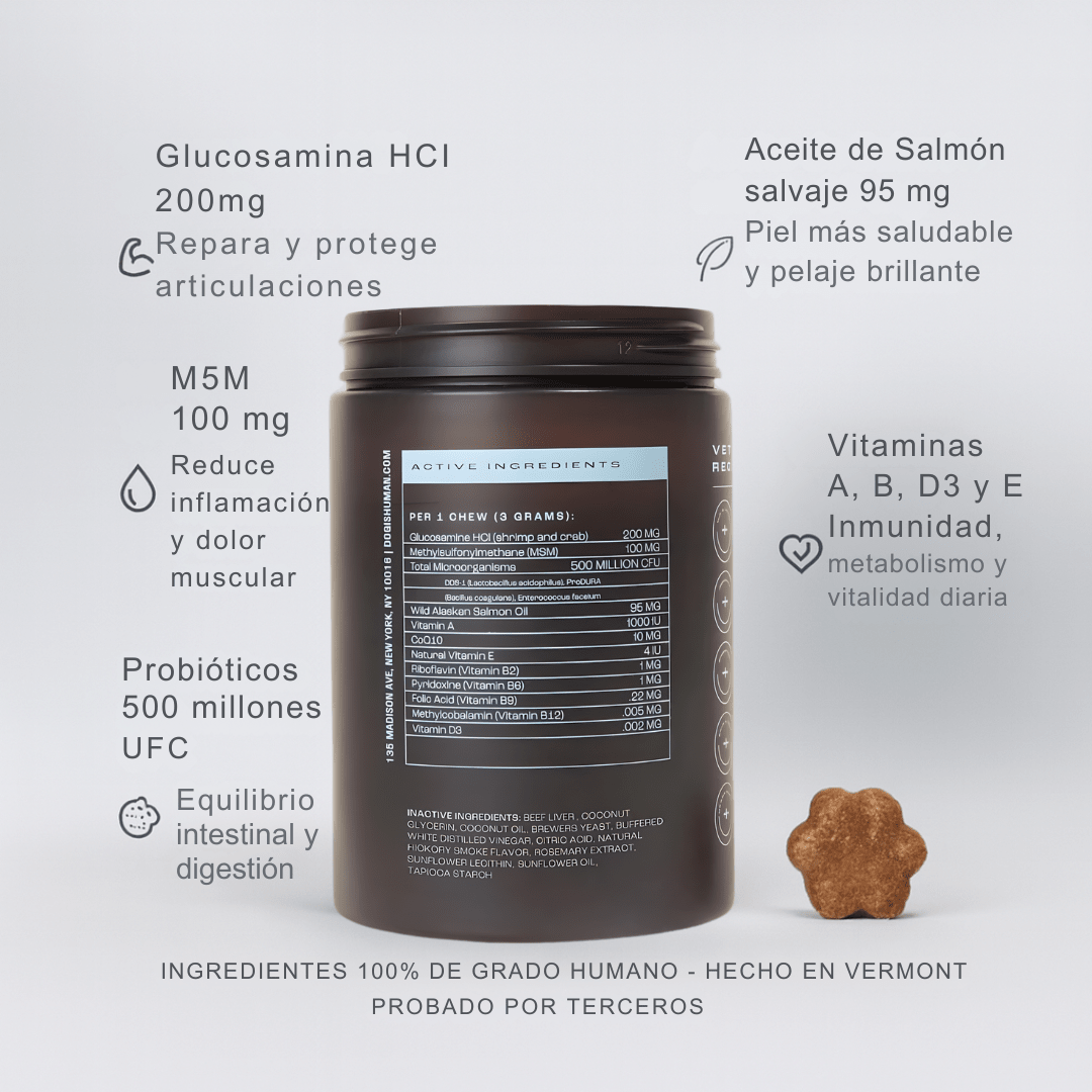 Dog Human Multivitamínico 5 - en - 1 Para perros que necesitan más años de vida saludable | Mejoras visibles en 1 - 2 semanas - IMPERIUM