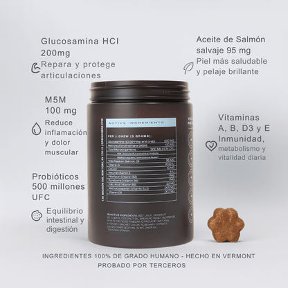 Dog Human Multivitamínico 5 - en - 1 Para perros que necesitan más años de vida saludable | Mejoras visibles en 1 - 2 semanas - IMPERIUM